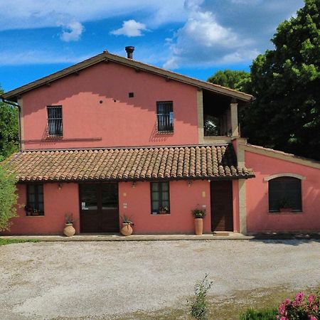Bed and Breakfast La Casa Dei Tigli Cannara Zewnętrze zdjęcie