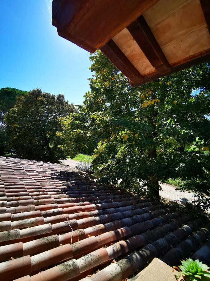 Bed and Breakfast La Casa Dei Tigli Cannara Zewnętrze zdjęcie