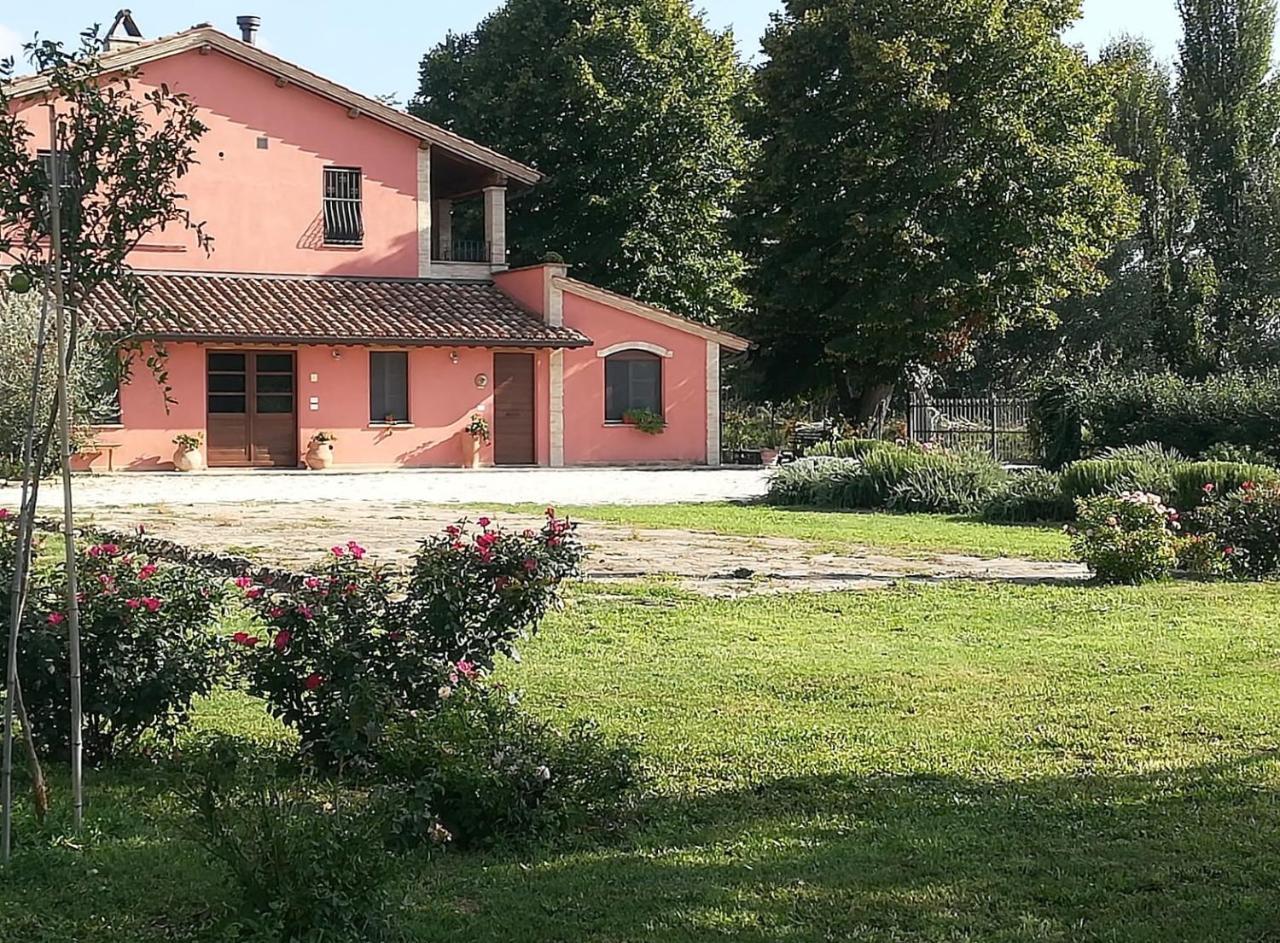 Bed and Breakfast La Casa Dei Tigli Cannara Zewnętrze zdjęcie