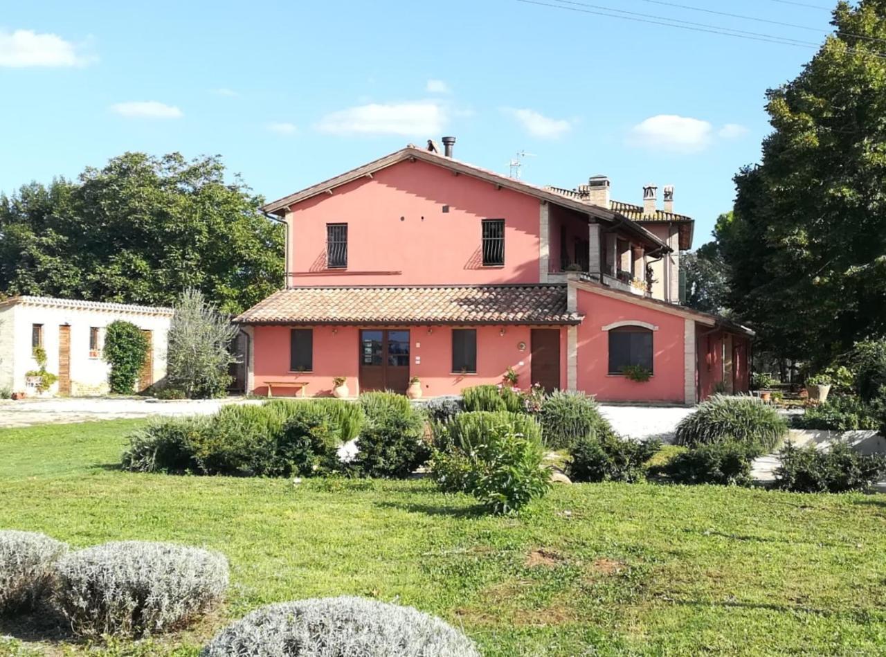 Bed and Breakfast La Casa Dei Tigli Cannara Zewnętrze zdjęcie
